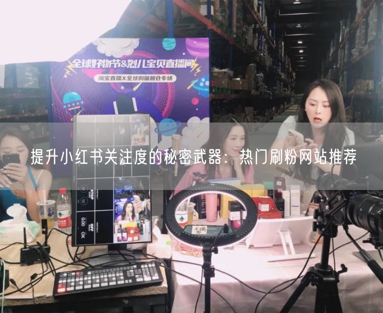 提升小红书关注度的秘密武器：热门刷粉网站推荐