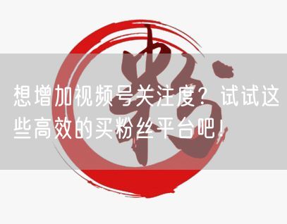 想增加视频号关注度？试试这些高效的买粉丝平台吧！