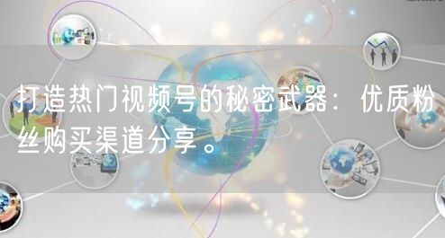 打造热门视频号的秘密武器：优质粉丝购买渠道分享。